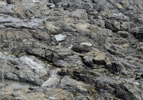 closeup of the coastal rocky shore for background