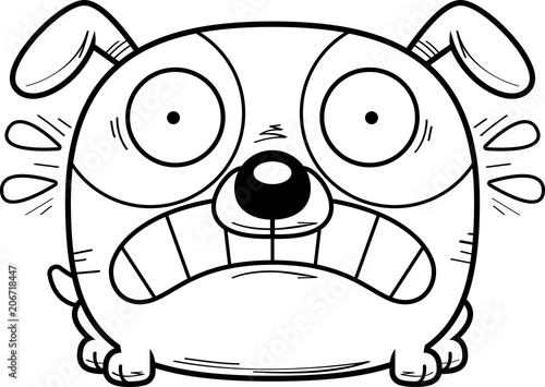 Terrified Little Dog