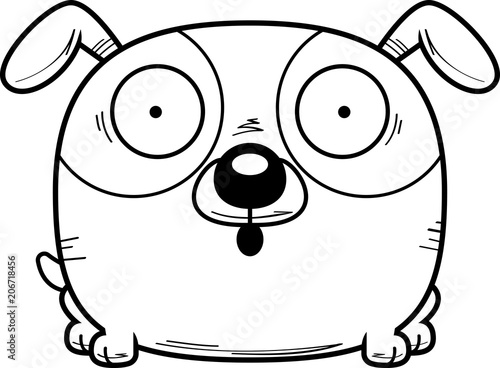 Surprised Little Dog