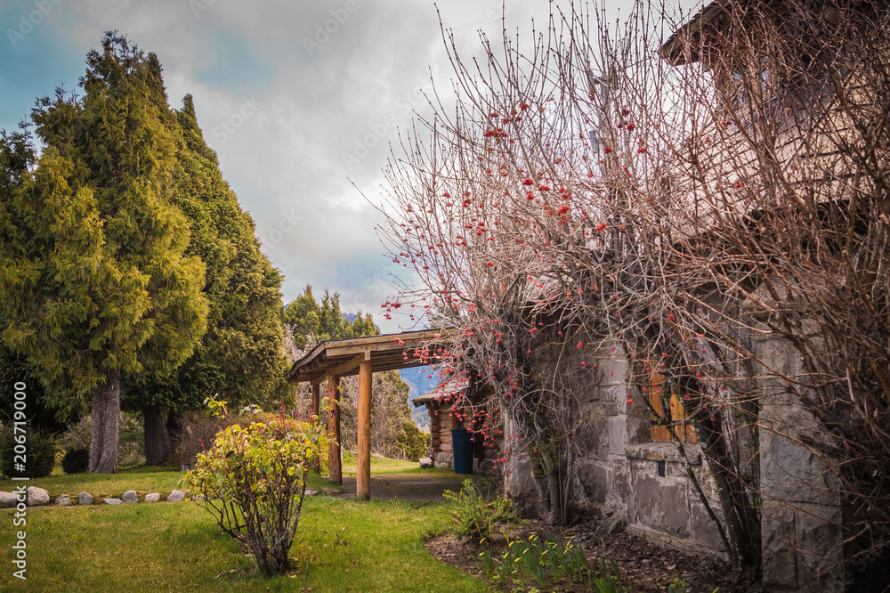Backyard with a garden, trees and green lawn. Llao - llao, Bariloche. Argentina.