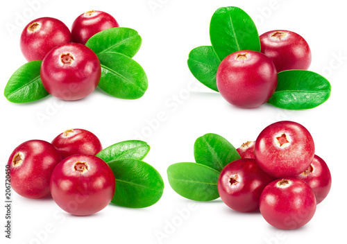 cranberries collection isolated
