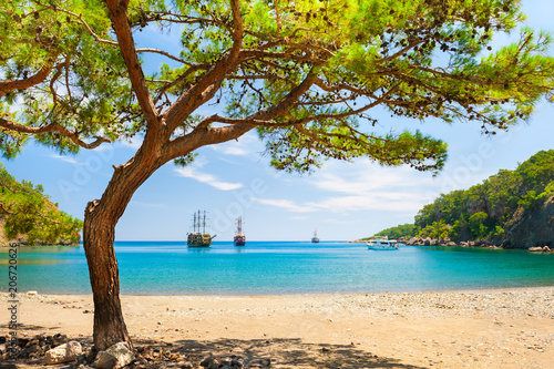 Beautiful beach with turquoise water and pines