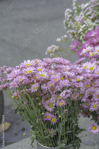  Bouquet of chrysanths  flowers  for sale on the street. photo