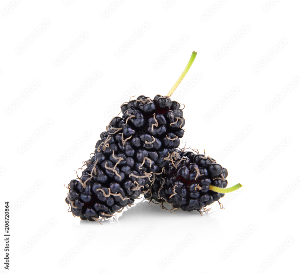 Mulberry on the white background Mulberry on the white background