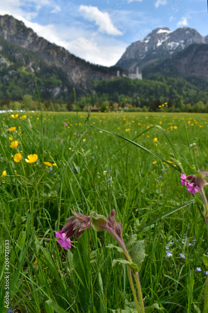 Fototapeta premium Mountain landscape. Germany.