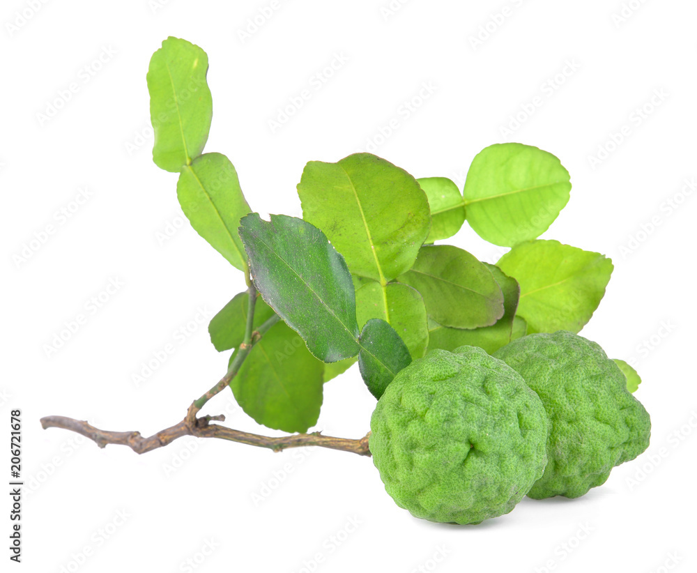 Fototapeta premium Fresh Kaffir Lime on white background