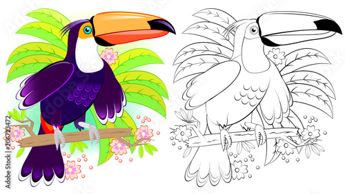 Colorful and black and white pattern for coloring. Illustration of cute toucan. Worksheet for children and adults. Vector image.