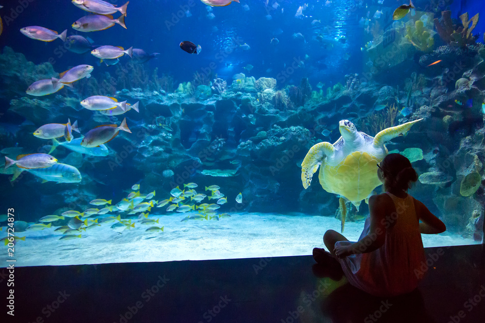 Woman in the oceanarium plays with the turtle