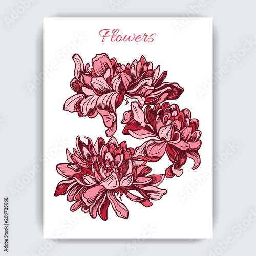 Vector illustration sketch - card with flowers peony