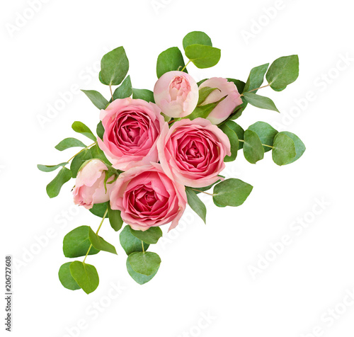 Eucalyptus leaves and pink rose flowers