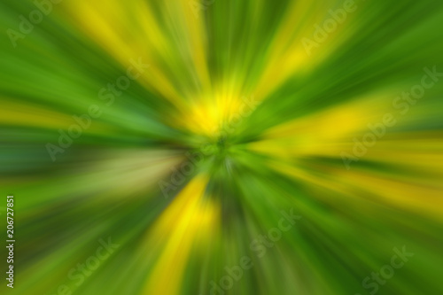 Abstract bloom yellow dandelion flower of tree in countryside. Created by zooming out while closing shutter. Zoom blossom speed blured motion.