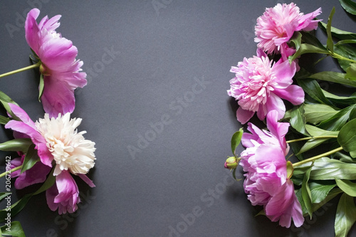 Pink and white peonies on a black background