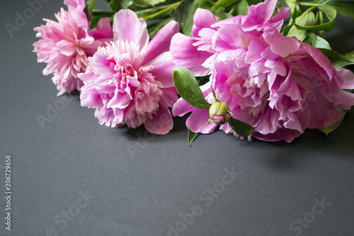 Pink peonies bouquet, spring blooming flowers