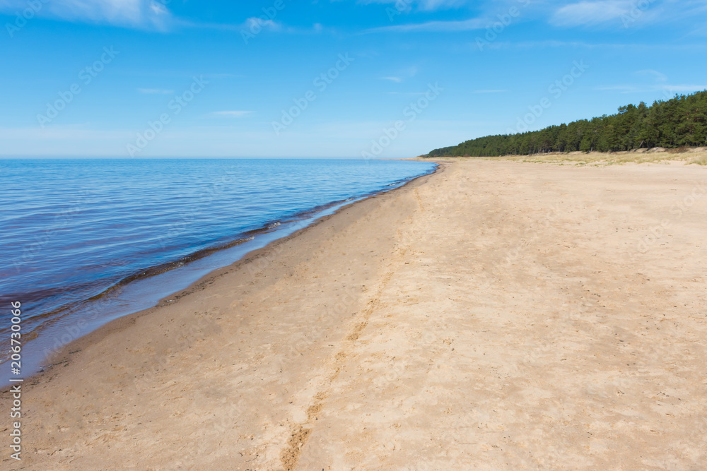 Baltic sea coast in spring