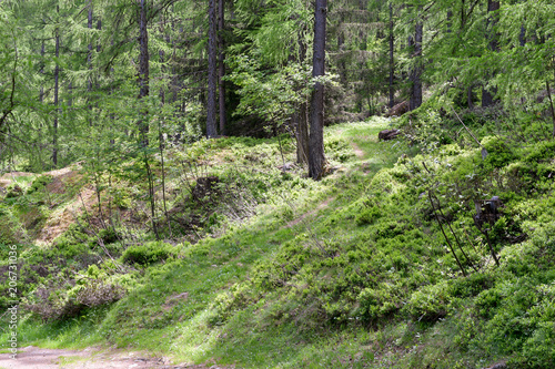 Vallée de Chamonix 