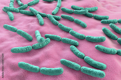 Bacteria Lactobacillus, 3D illustration. Normal flora of small intestine, lactic acid bacteria. Probiotic bacterium photo
