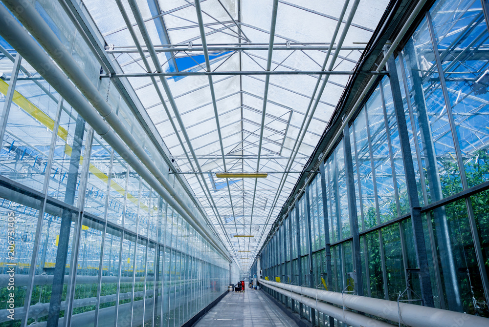The frame of a modern greenhouse against the sky The frame of a modern greenhouse against the sky
