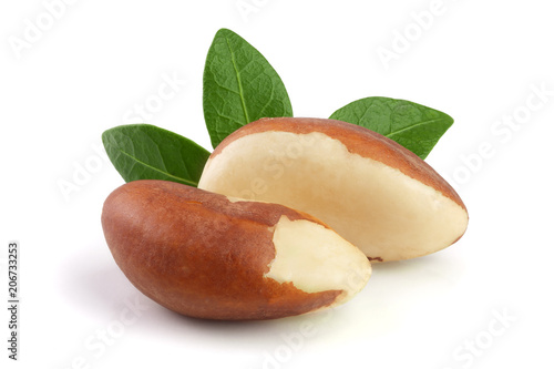 Brazil nuts with leaves isolated on white background closeup. Full depth of field photo