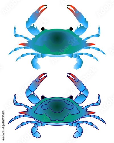 Blue crab isoleted on white.. Flat Gradient Sea Food Concept