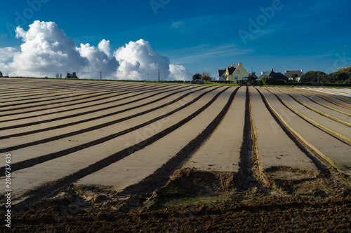 F, Bretagne, Finister, Leon, Felder bei Moguierec photo