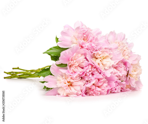 Bouquet peonies flower on a white background isolation