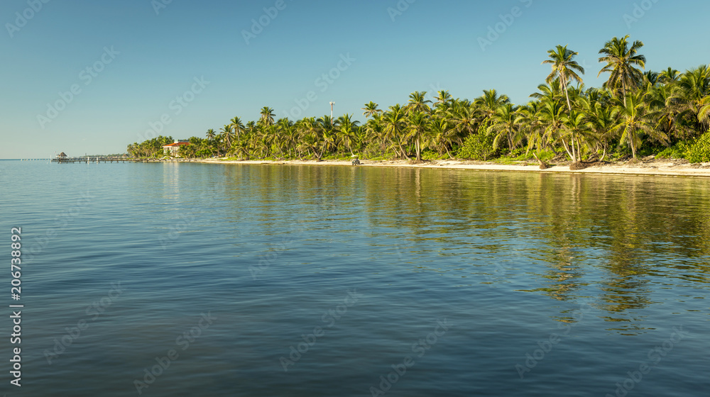 Caribbean Beach Belize Caribbean Beach Belize