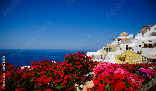 Red flowers on the foreground and Oia town on Santorini island, Greece. Traditional and famous houses over the Caldera, Aegean sea