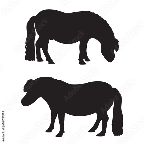 Vector silhouette of a pony on a white background.
