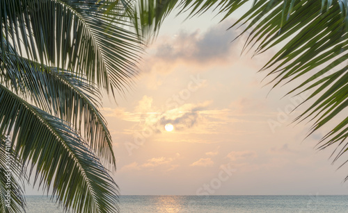 Caribbean Sunrise Palms Background