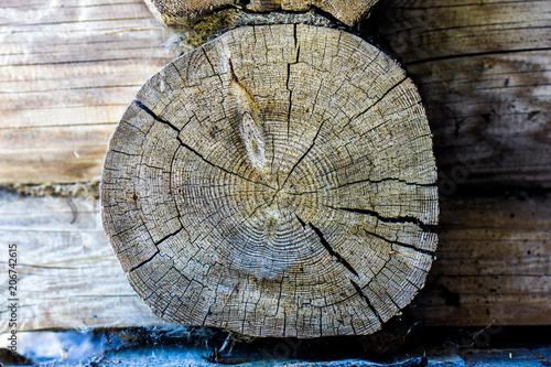 Round piece of wooden stump cut with aged tree rings. Brown and tan wood texture with cracks and bark
