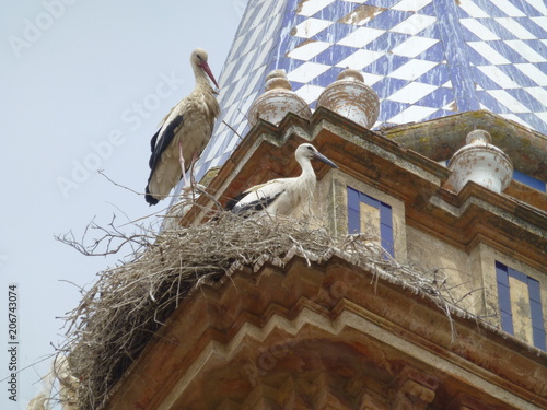 Cigueñas en iglesia de Bollullos Par del Condado, pueblo de Huelva, Andalucía (España) photo