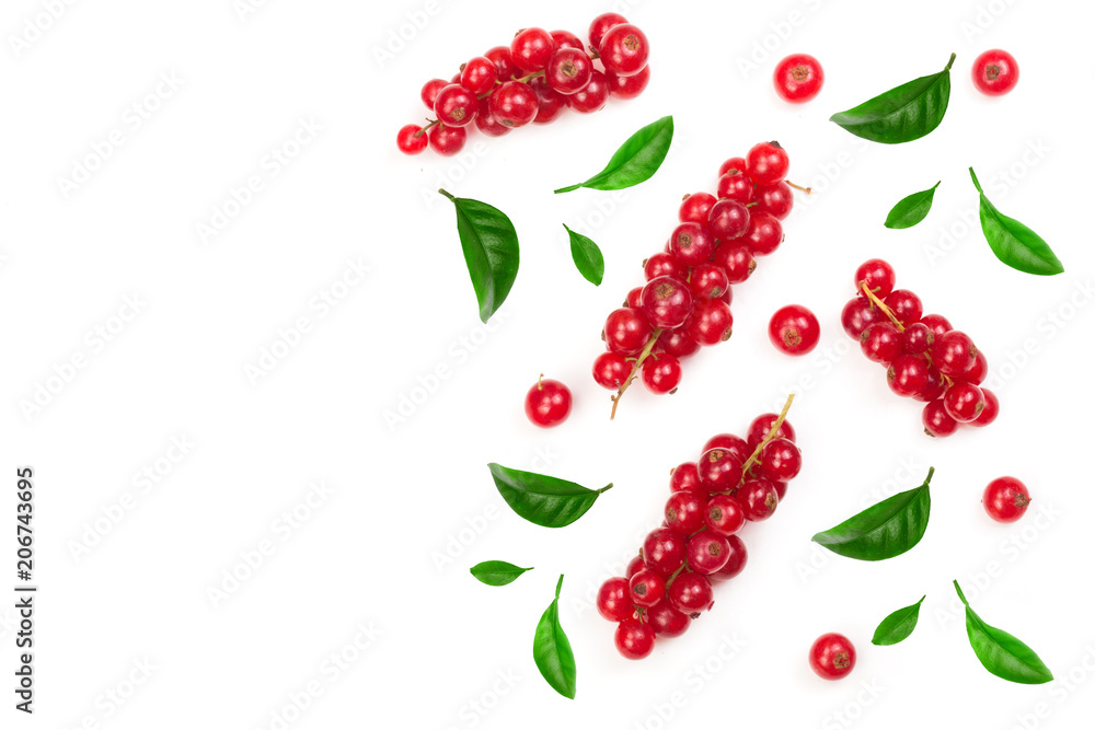 Red currant berries with leaf isolated on white background with copy space for your text. Top view. Flat lay pattern Red currant berries with leaf isolated on white background with copy space for your text. Top view. Flat lay pattern