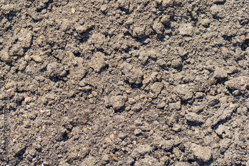 Ground textured surface background under bright sunlight closeup texture