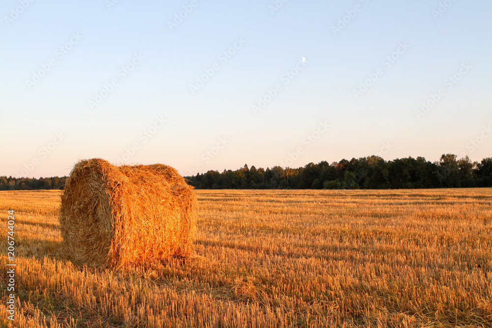 Haystack harvest field landscape.