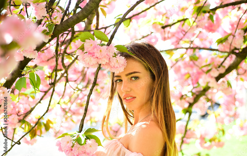 Woman posing under Japanese cherry, beauty and harmony concept. Sexy girl enjoying fragrance of flowery tree. Portrait of lovely blond female with full lips on natural background Woman posing under Japanese cherry, beauty and harmony concept. Sexy girl enjoying fragrance of flowery tree. Portrait of lovely blond female with full lips on natural background