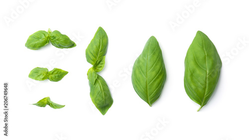 Fresh green basil leaves on white background, top view © New Africa