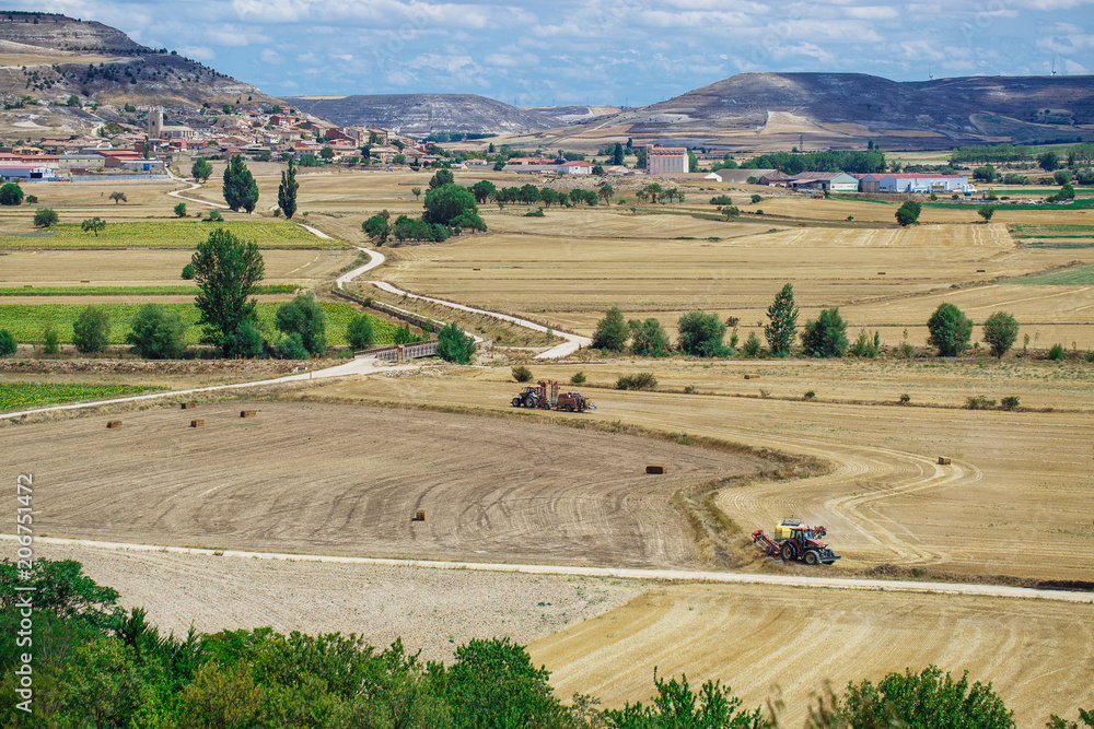 Fototapeta premium Beautiful natural landscape