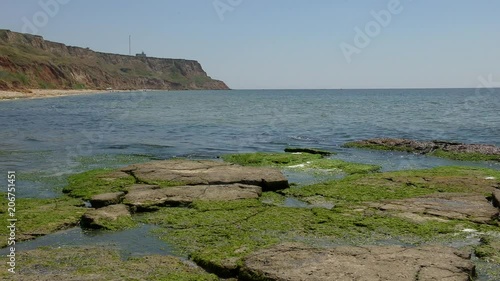 The clay steep coast of the estuary, in the foreground the stones are overgrown with algae. photo