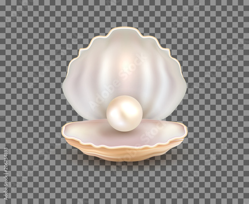 Fotografia Pearl open shell realistic illustration