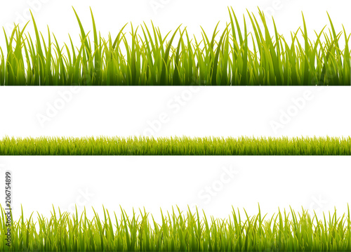 Green grass meadow border vector pattern. Spring or summer plant field lawn. Grass background