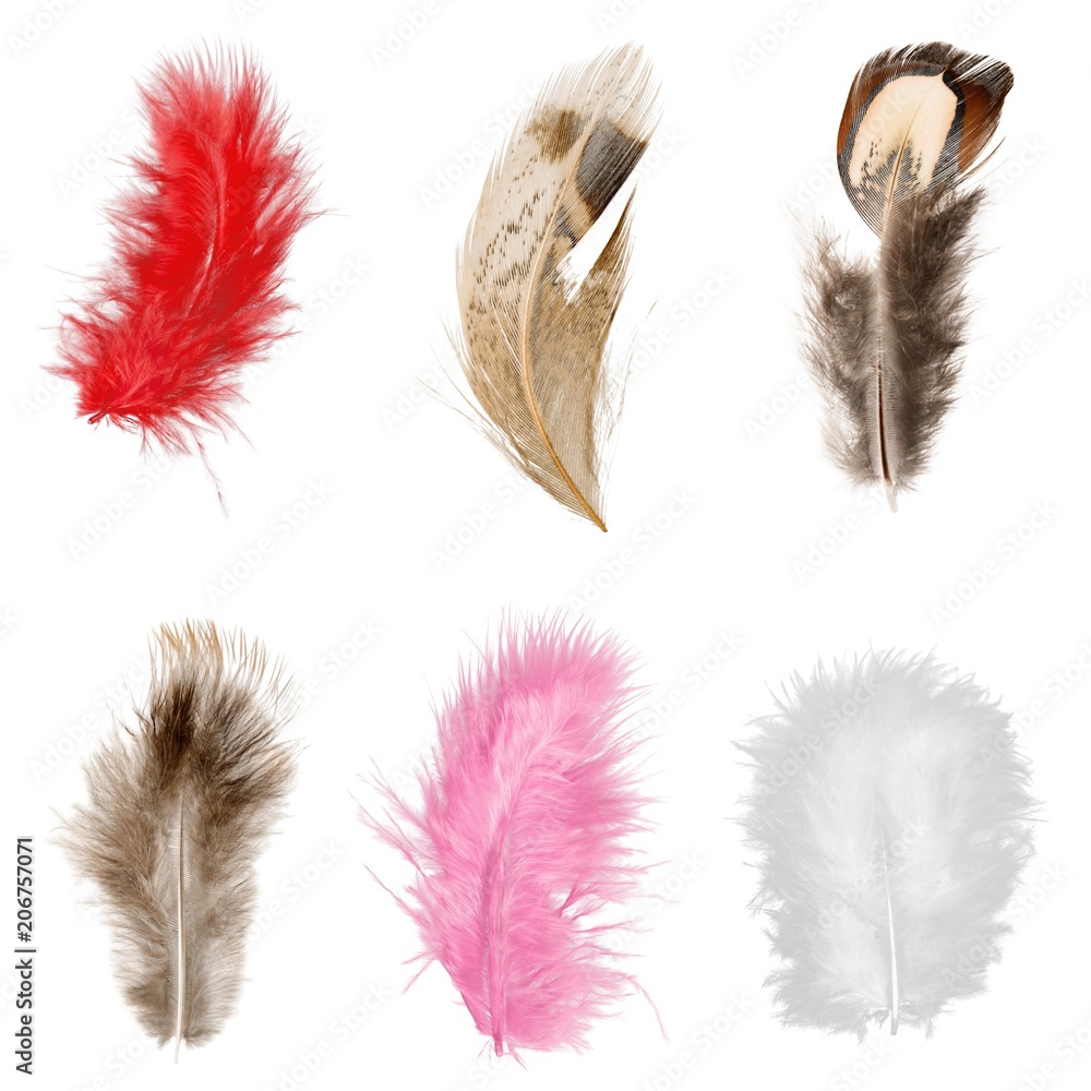 Feather. Feather.