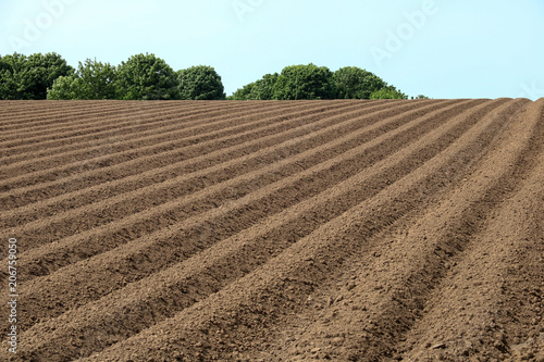 Freshly Ploughed Field on a Summer Day
