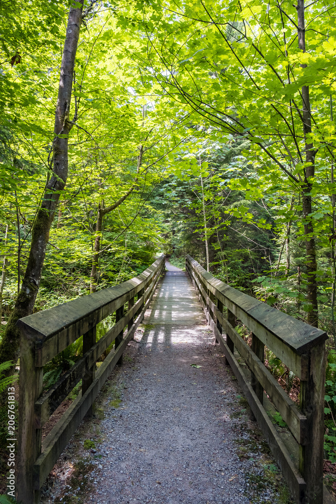 a paved bridge with wooden railings lead into the forest