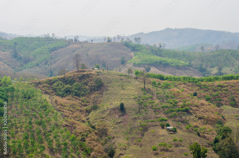 deforestation problems in Nan, Thailand, drought area