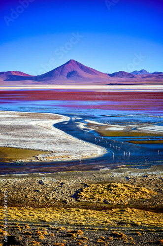 Laguna Colorada de Uyuni, Reserva Eduardo Avaroa, Bolivia photo