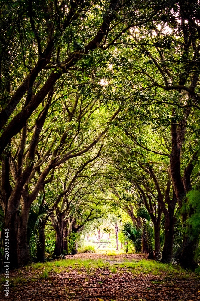 Naklejka premium Pretty path