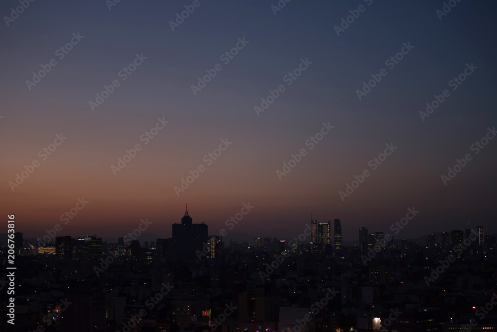 Fototapeta premium Mexico city Skyline