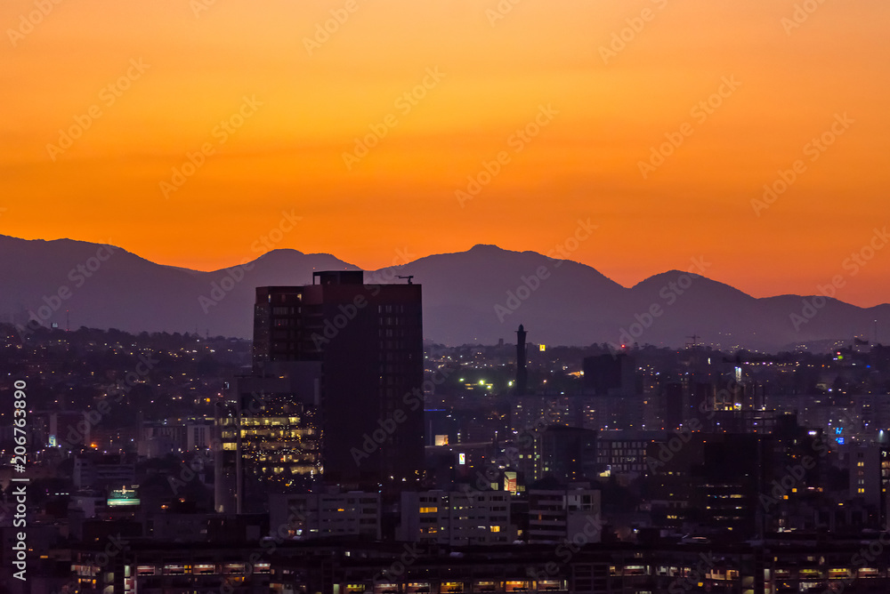 Fototapeta premium Mexico city Skyline