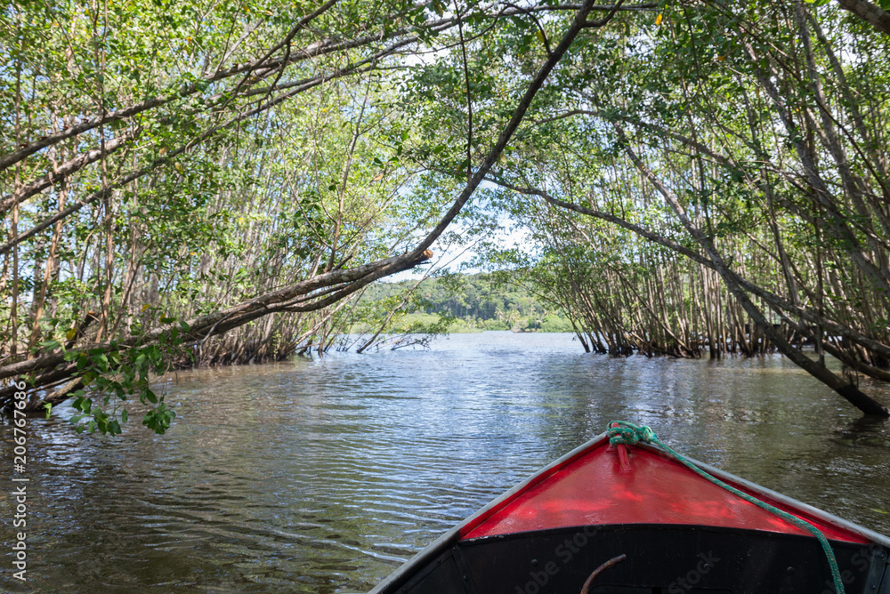 Fototapeta premium Boat ride getting out of a mangrove