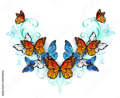 Symmetrical pattern of blue and orange butterflies